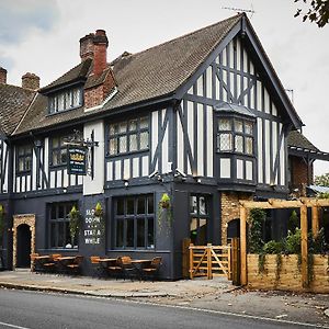 Prince Of Wales - Townhouse
